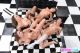 Abigail_Ashli_and_Brooklyn_Chanel_SexTuz_Com_757.jpg