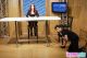 Monique_Alexander_-_Monique_Keeps_It_Fresh_SexTuz_Com_198.jpg