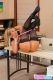 Naughty_Office_-_Abbey_Brooks_SexTuz_Com_392.jpg