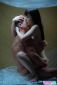 Marica_Hase_and_Matt_Bird_-_Sexter_SexTuz_Com_46.jpg