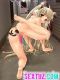 Hentai_SexTuz_Com_376.jpg